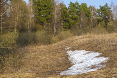 Gün batımında Rusya'nın Tula bölgesinde bahar kırsal görüntü ile Manzara