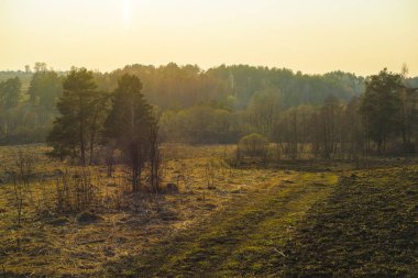 Gün batımında Rusya'nın Tula bölgesinde bahar kırsal görüntü ile Manzara