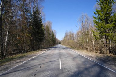 Bir ormanda ülke yol görüntüsü ile Peyzaj