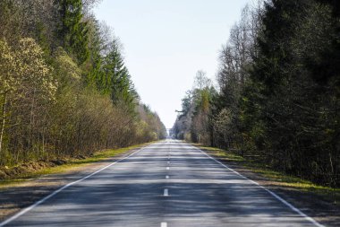 Bir ormanda ülke yol görüntüsü ile Peyzaj