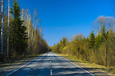 Bir ormanda ülke yol görüntüsü ile Peyzaj
