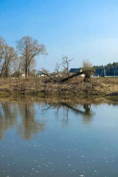 Paisaje Con Imagen Del Lago Primavera — Foto de Stock