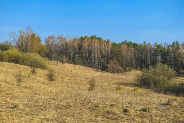 Lanskap Dengan Gambar Pedesaan Musim Semi Wilayah Tula Rusia Saat — Stok Foto