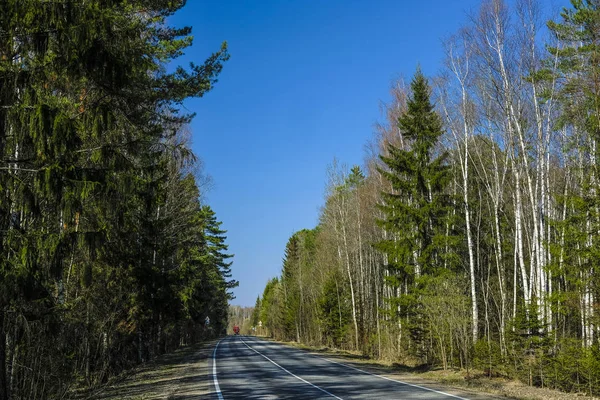 Landschaft Mit Dem Bild Einer Landstraße Wald — Stockfoto