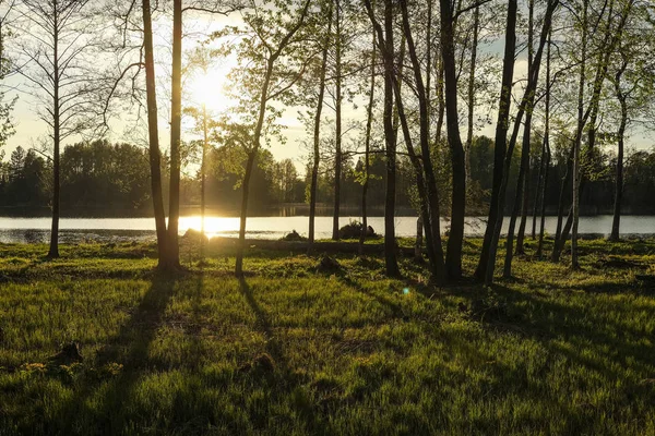 Пейзаж Изображением Заката Над Озером Валдай — стоковое фото