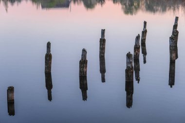 Göldeki kazıkların görüntüsü