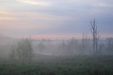 Rusya'da Seliger Gölü'nde sis görüntüsü ile Manzara
