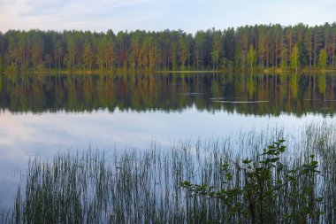 Rusya'da Seliger Gölü görüntüsü ile Manzara