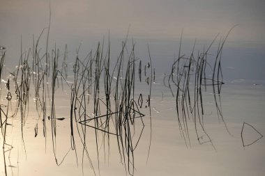Rusya'da Seliger Gölü görüntüsü ile Manzara