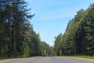Rusya'da Seliger Gölü bölgesinde orman yolu görüntüsü ile Peyzaj