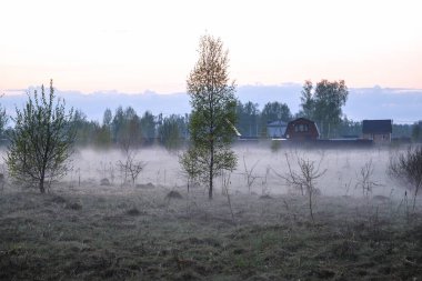 Rusya'da Seliger Gölü'nde sis görüntüsü ile Manzara