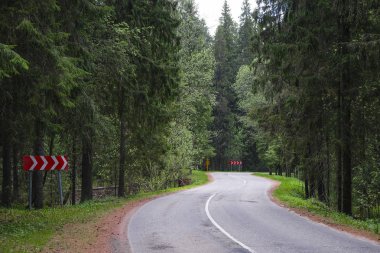 Orman görüntüsü ile peyzaj 