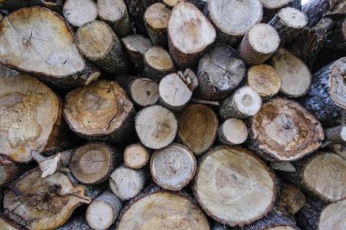 katlanmış odun görüntüsü