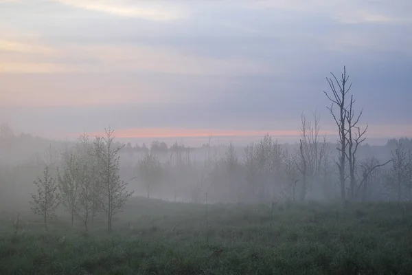 Landschaft Mit Dem Bild Des Nebels Auf Dem Seliger See — Stockfoto