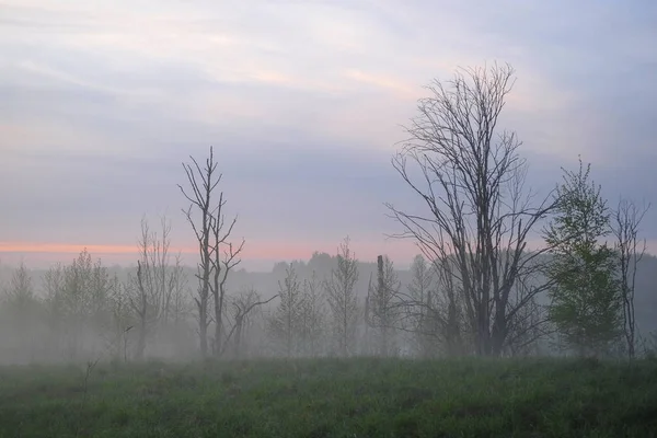 Paysage Avec Image Brouillard Sur Lac Seliger Russie — Photo