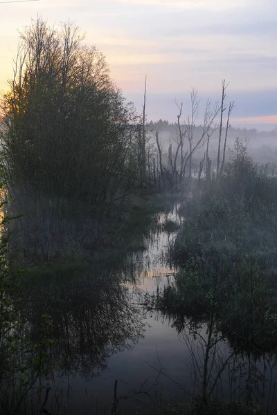 俄罗斯塞利格湖雾景景观 — 图库照片