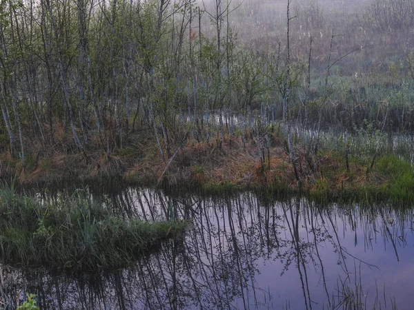 Krajobraz Wizerunkiem Mgły Jeziorze Seliger Rosji — Zdjęcie stockowe