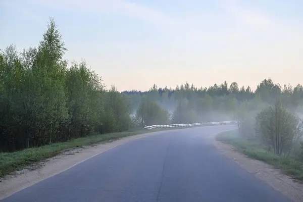 Landschap Met Het Beeld Van Bos — Stockfoto