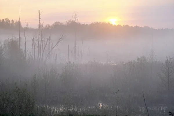 Paysage Avec Image Brouillard Sur Lac Seliger Russie — Photo