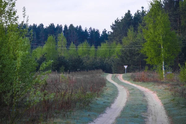 Landschap Met Het Beeld Van Bos — Stockfoto