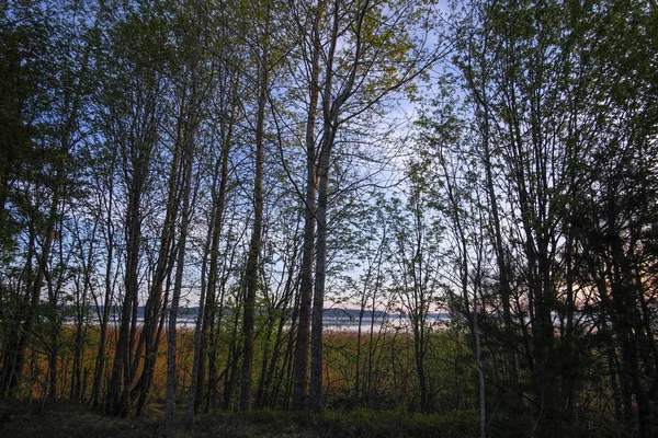 Paisaje Con Imagen Del Lago Seliger Rusia —  Fotos de Stock