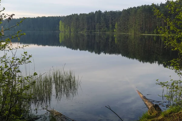 ロシアのセリガー湖をイメージした風景 — ストック写真