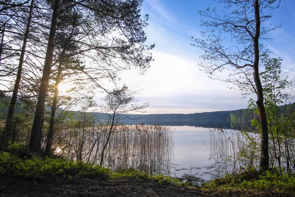 Paesaggio Con Immagine Del Lago Seliger Russia — Foto Stock