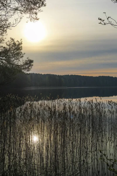 Krajina Obrazem Jezera Seliger Rusku — Stock fotografie