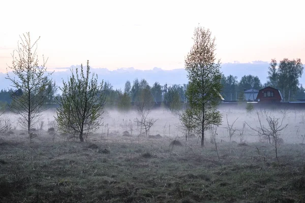 俄罗斯塞利格湖雾景景观 — 图库照片