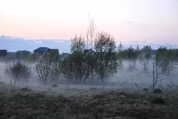 Šířku Obrazem Mlhy Jezeře Seliger Rusku — Stock fotografie