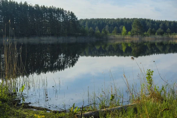 Paesaggio Con Immagine Del Lago Seliger Russia — Foto Stock