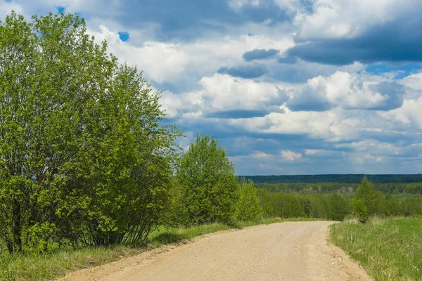 Landschap Met Het Beeld Van Bos — Stockfoto