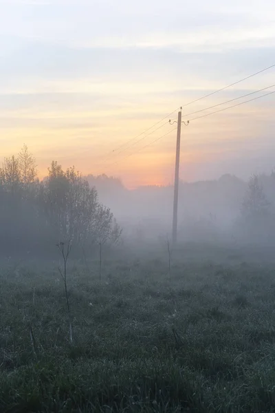 Tragwerk Der Hochspannungsleitung Bei Sonnenaufgang Nebel — Stockfoto