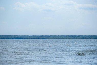 Göl görüntüsü ile peyzaj