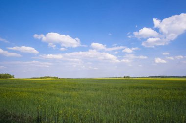 Bir alan görüntüsü olan manzara