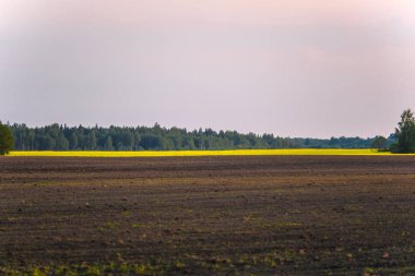 Alan görüntüsü ile peyzaj