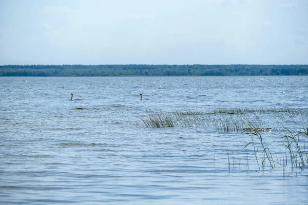 Landschap Met Het Beeld Van Lake — Stockfoto