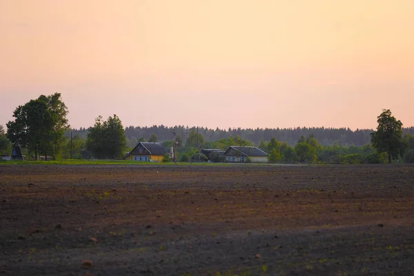 Voorgrondafbeelding Van Een Veld Landelijke Huizen Verte — Stockfoto