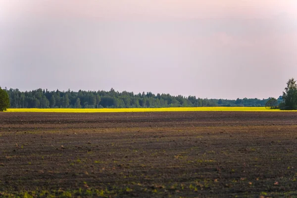 Alan görüntüsü ile peyzaj