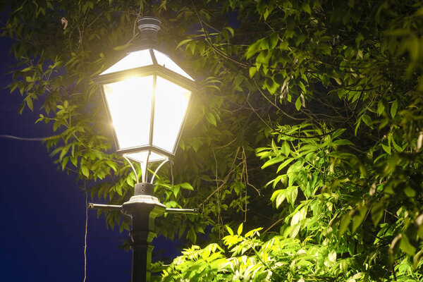 The image of a street light