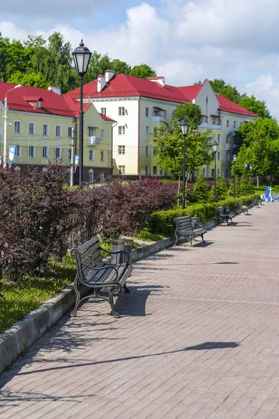 スモレンスク ロシア 2019 スモレンスク市のドニエパー川の堤防をイメージした風景 ロシア — ストック写真