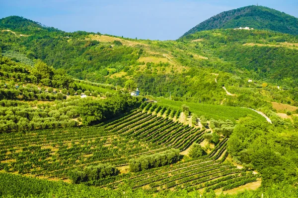Landscape Image Italian Country Side — Stock Photo, Image