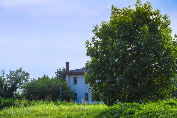 Rovigo Italië Juli 2019 Landschap Met Het Beeld Van Rovigo — Stockfoto