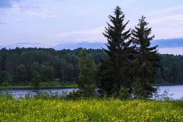 Paysage Avec Image Rivière — Photo