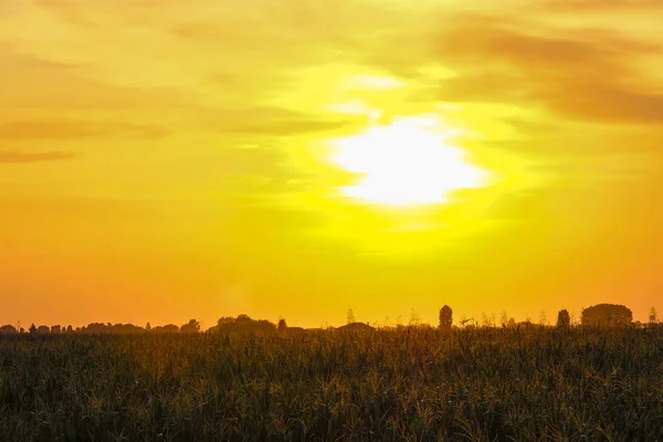 Landskap Med Bilden Solnedgången Den Italienska Landsbygden — Stockfoto