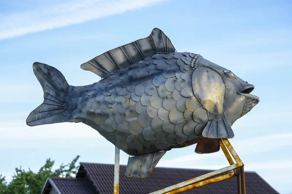 büyük bir demir balık görüntü