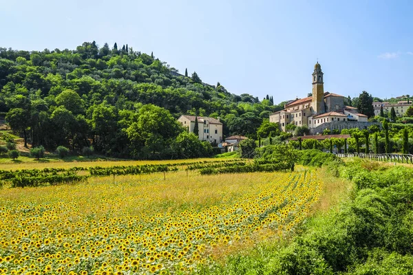 Paysage Image Campagne Italienne — Photo