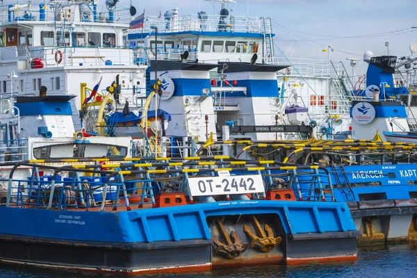 Petersburg Russia July 2019 Tugs Neva River Petersburg Russia — Stock Photo, Image