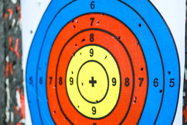The image of a target in a shooting room
