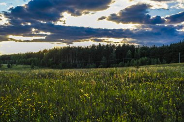 Gün batımında çayır görüntüsü ile manzara